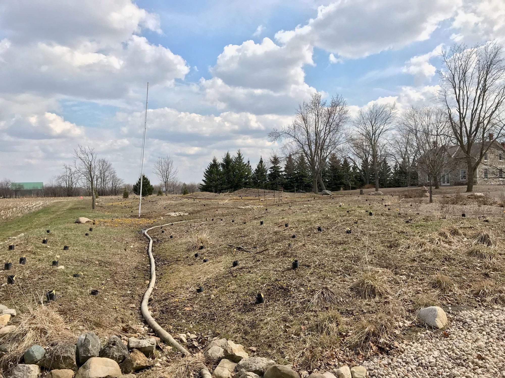 A view of the naturalized area in April 2018