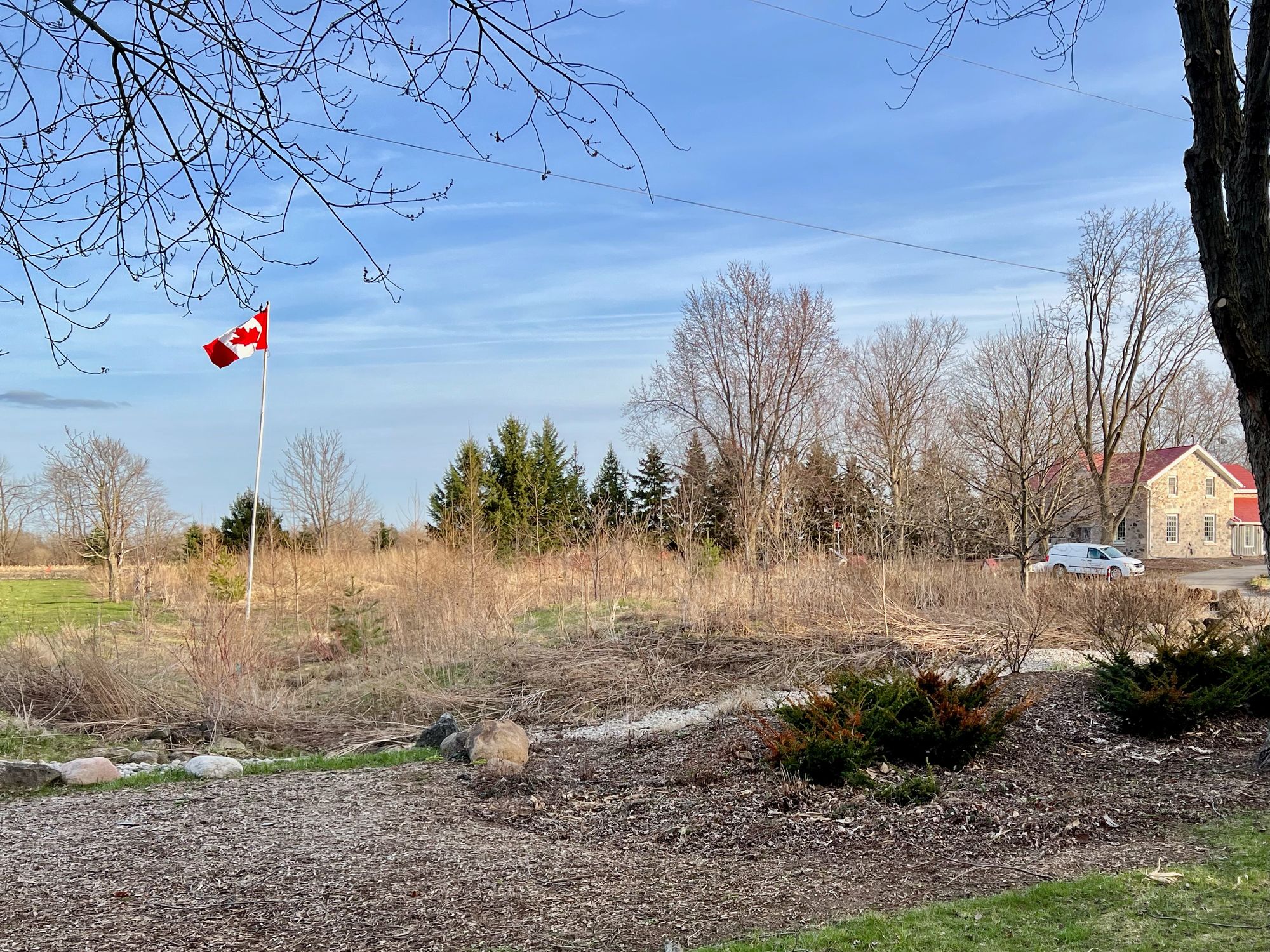 A view of the naturalized area in April 2022