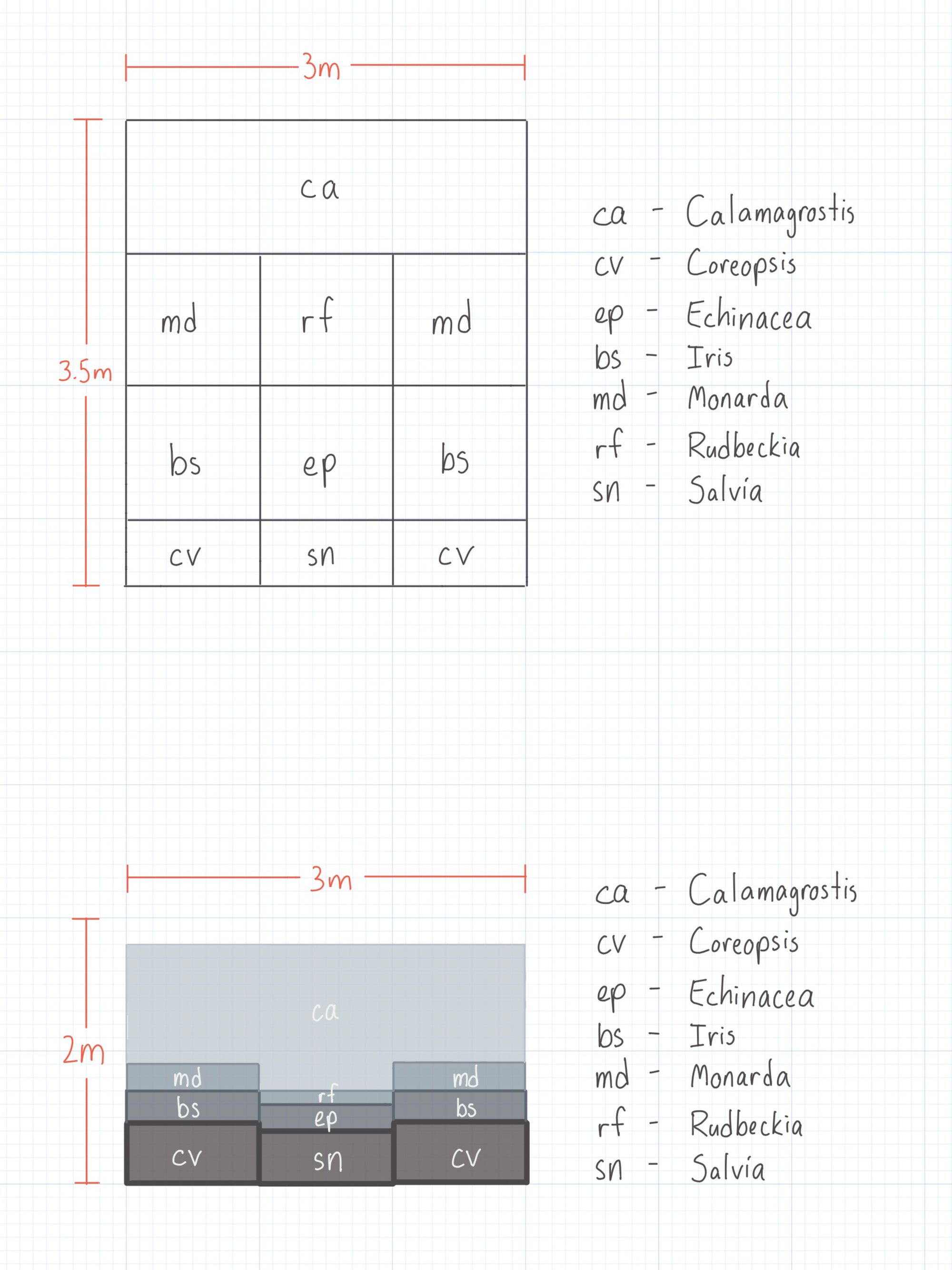 Creating an Elevation Drawing