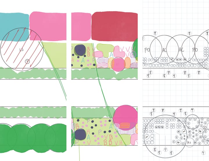 Maackia 020: The Shame of a Designer Who Plans